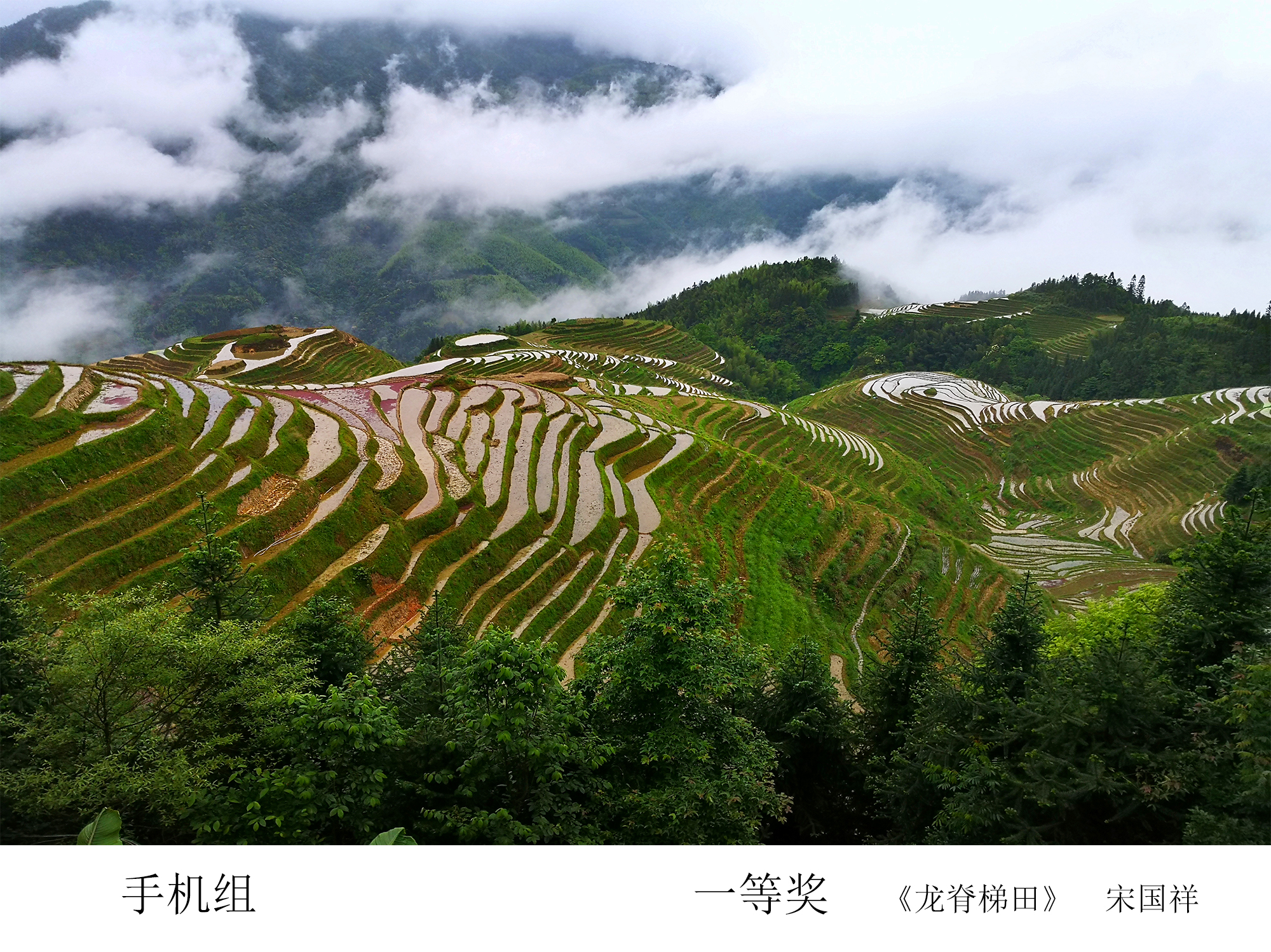 PG电子·仿照器(试玩游戏)官方网站